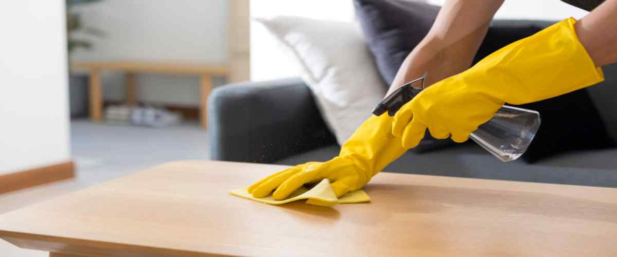 Maid Agency In Delhi

